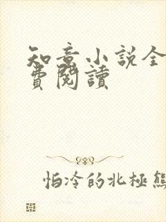 知意小说全文免费阅读封面