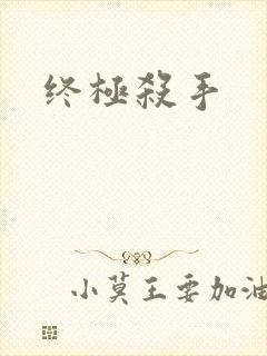 终极杀手封面