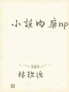 小说肉糜np封面