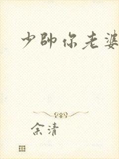 少帅你老婆封面