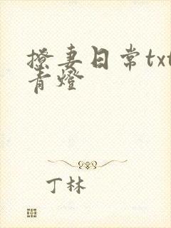 撩妻日常txt青灯