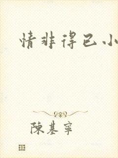 情非得已小说