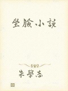 坐脸小说