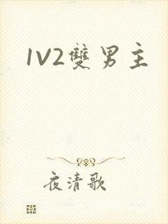 1V2双男主