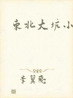 东北大坑小说