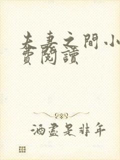 夫妻之间小说免费阅读
