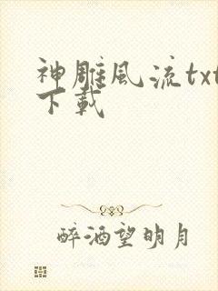 神雕风流txt下载
