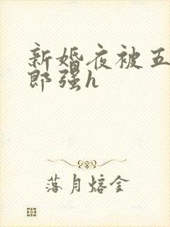 新婚夜被五个伴郎强h封面