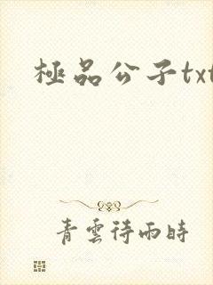 极品公子txt