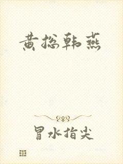 黄总韩燕封面