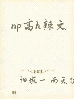 np高h辣文封面