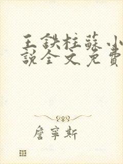 王铁柱苏小汐小说全文免费阅读最新章节封面