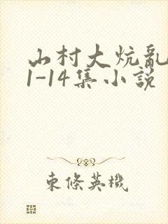 山村大炕乱肉续1-14集小说