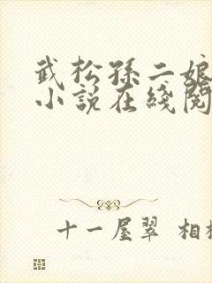 武松孙二娘云雨小说在线阅读