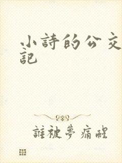 小诗的公交车日记封面