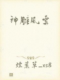 神雕风云封面