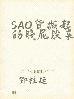 SAO货撅起你的贱屁股来
