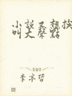 小说又想挨C了叫大声点封面