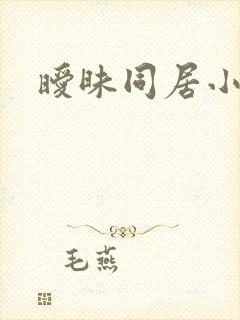 暧昧同居小说