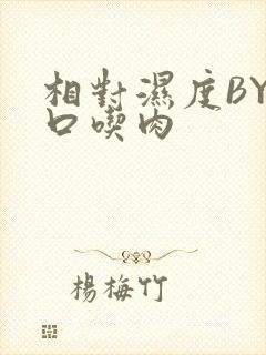 相对湿度BY大口吃肉