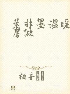 叶非墨温暖在厨房做