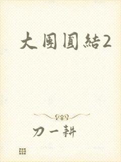 大团圆结2