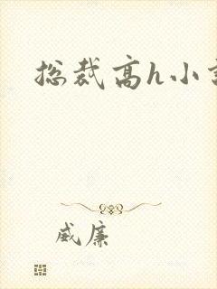 总裁高h小说