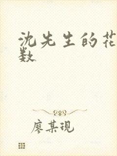 沈先生的花式调数