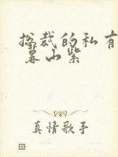 总裁的私有宝贝 暮山紫封面