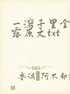 一泻千里金银花露原文txt