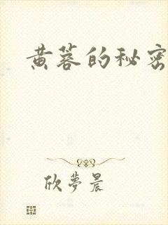 黄蓉的秘密封面