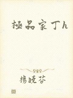 极品家丁h