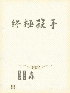 终极杀手