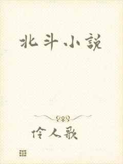 北斗小说