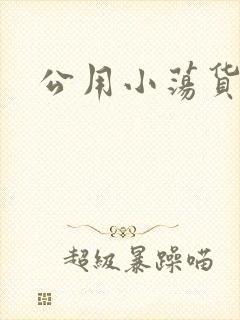 公用小荡货芊芊封面