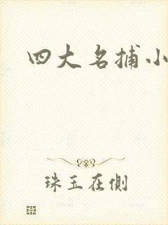 四大名捕小说