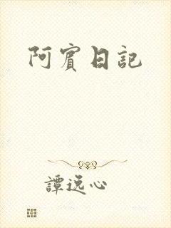 阿宾日记封面