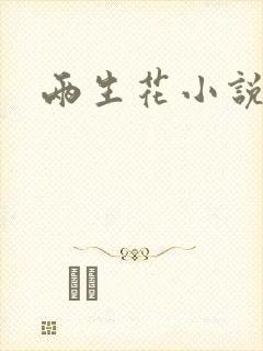 两生花小说封面