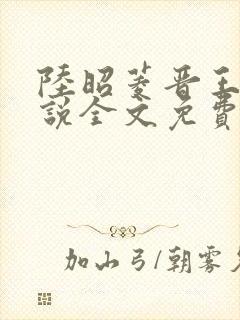 陆昭菱晋王的小说全文免费阅读
