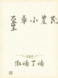 至尊小农民王木生封面