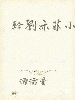 干刘亦菲小说