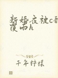 新婚夜被c翻云覆雨h