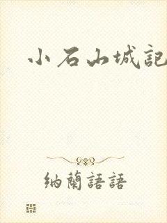 小石山城记封面