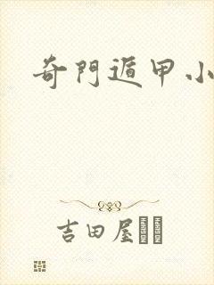 奇门遁甲小说