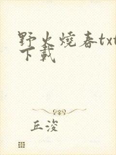 野火烧春txt下载封面