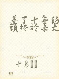 养了十年的小丫头终于长大了
