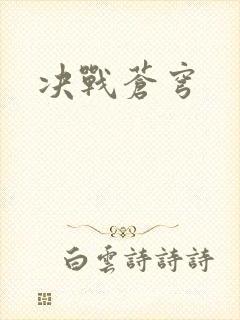 决战苍穹封面