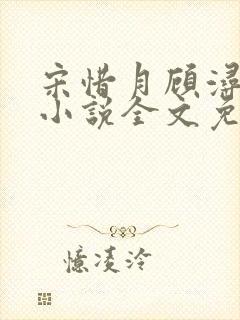 宋惜月顾浔渊的小说全文免费阅读