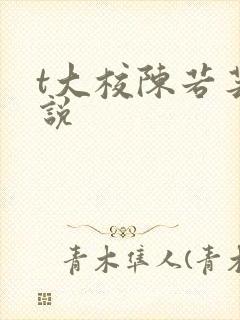 t大校陈若芸小说