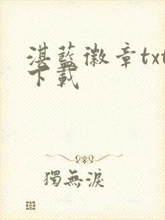 湛蓝徽章txt下载封面
